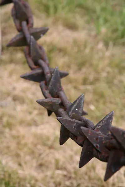 Australia Star pickets