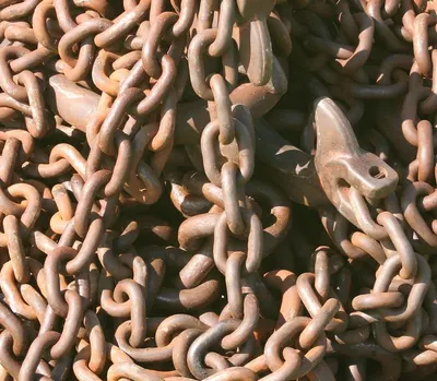 Agricultural chain