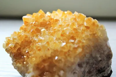 Sea Urchin Roe by AGS- Seafoods Division Of Ags Ltd