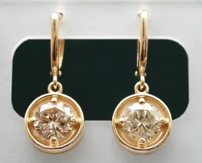 Titanium earring