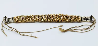 Dry cordyceps militaris