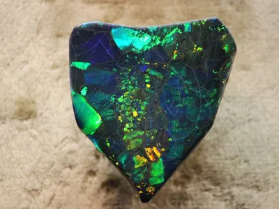 Black Opal Indonesia