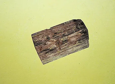 Agarwood Chunk by Global Vision International Co., Ltd.