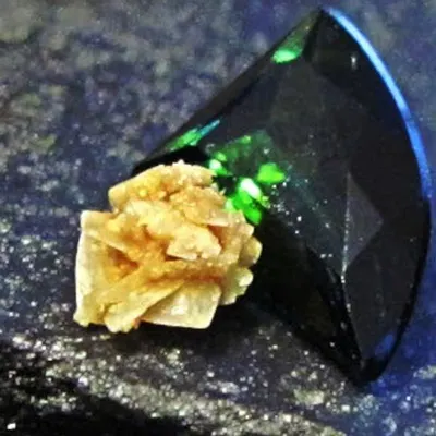 24kt Gold Plated Natural Rose