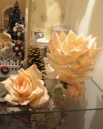 Preserved roses