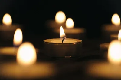 Tealights