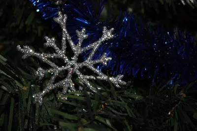 X'mas tree