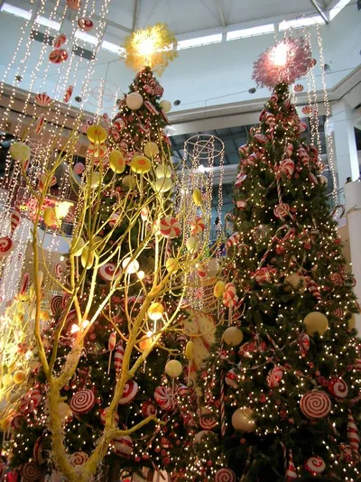 Brovary Plastmas
