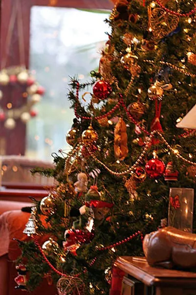 Seasonal decors by Amara Enterprises