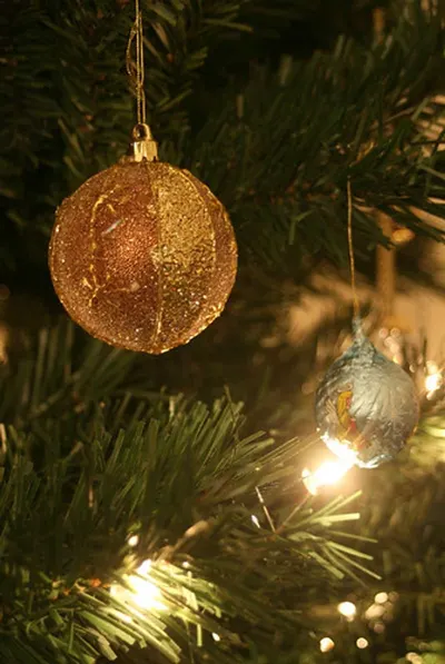 Assorted Christmas Ornaments by Shdaval Social Business Pvt Ltd