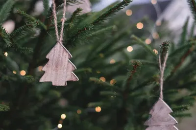 Christmas Hanging