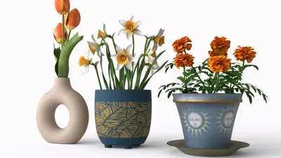 Ceramic Pots and Planters