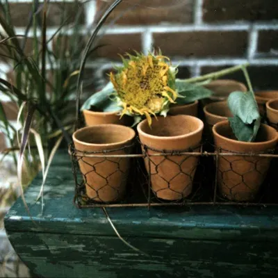 Stoneware Pot