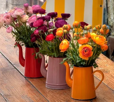 Flower Pots