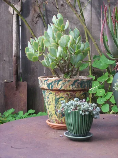 Antiques Porcelain And Vase