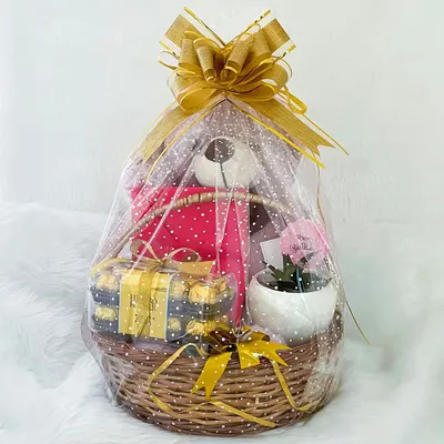 Emergency Rescue Man Basket