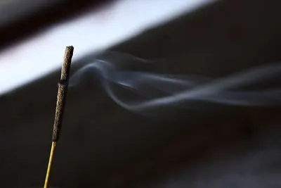 Dhanel Oudh Incense Sticks by Oriental