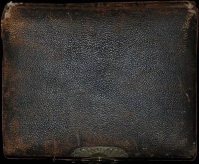 Leather tray