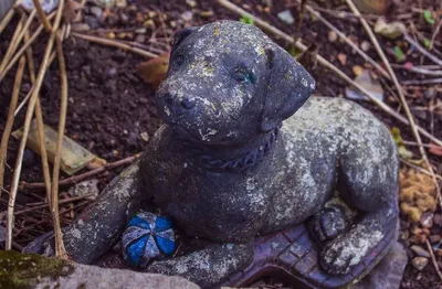 Bronze Statue Bulldog For School