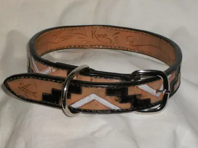 Unique Webbing Dog Collar and Leash
