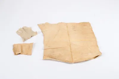 Papyrus