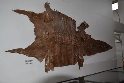 Wooden Plaque