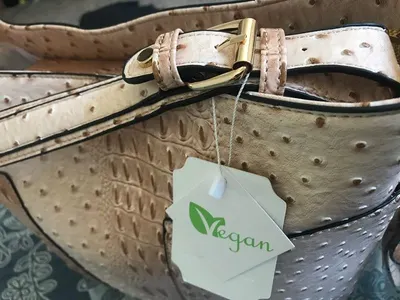 Cork Bag