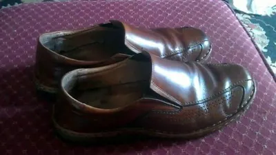 Brown 41
