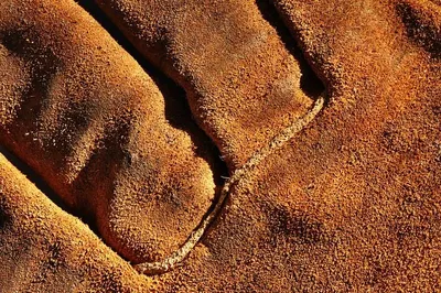 Leather Gloves by Demon Leather Industries