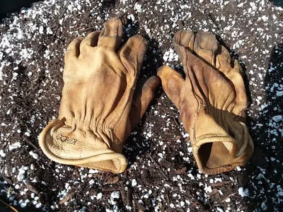 Leather Safety Gloves (SG369010)