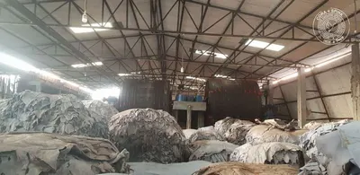 Cold Storage