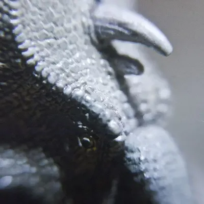 Graphite Ptfe With Kevlar Gland Packing