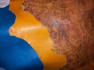 Half Tan ( wet Blue) Cow Skin