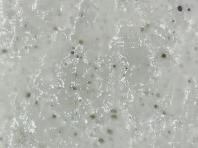 Oceanic white
