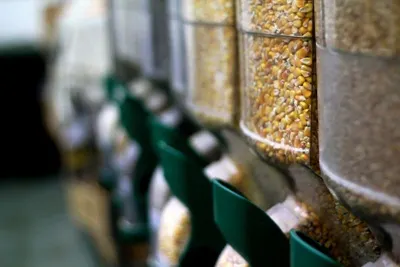 Grain Packaging Line