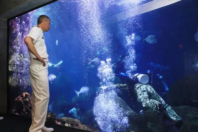Aquarium Treatment by Suzhou X Chemical Co. Limited