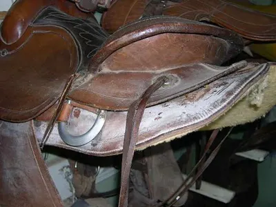 Pvc Bridle Set by Amir international