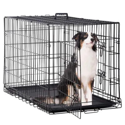 Large Outdoor Chain Link Dog Run Kennel Dog Cage