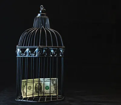 Lamp cage