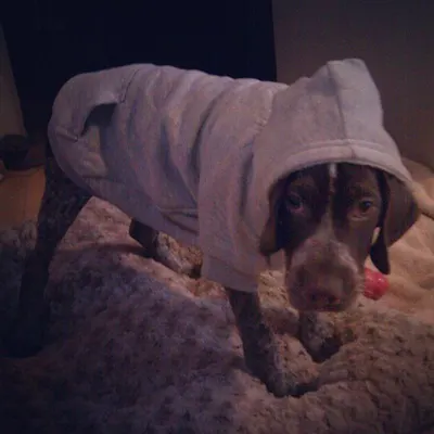 Chilly