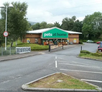 Pet Fine