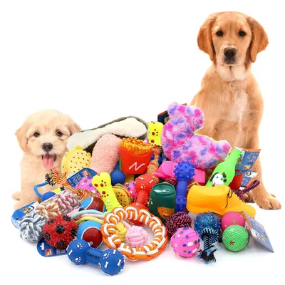 Lovely hungrydog redemption game machine