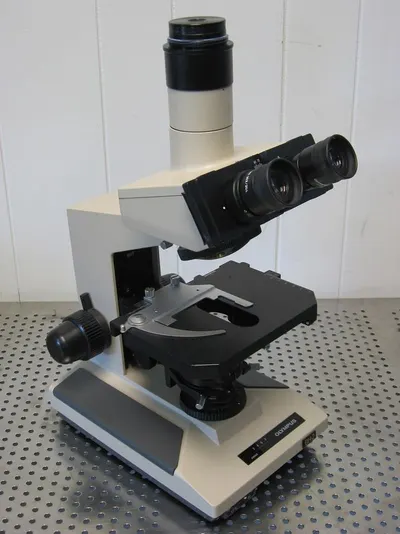 MS 30 Microscope