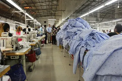 Supply all types of vietnam labor to work abroad