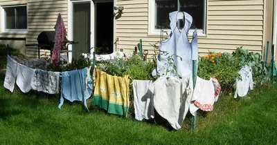 Nighties, t-shirts, vegetables