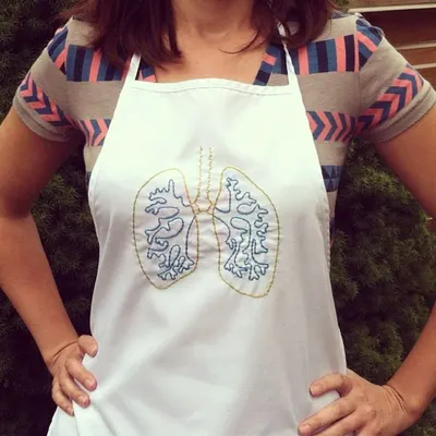 Human Kidney Anatomical Model by Pharmonco Limited