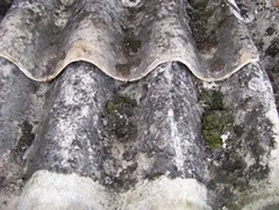 Mould