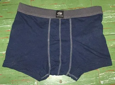 Briefs
