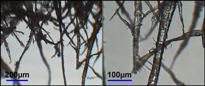 Steel fiber