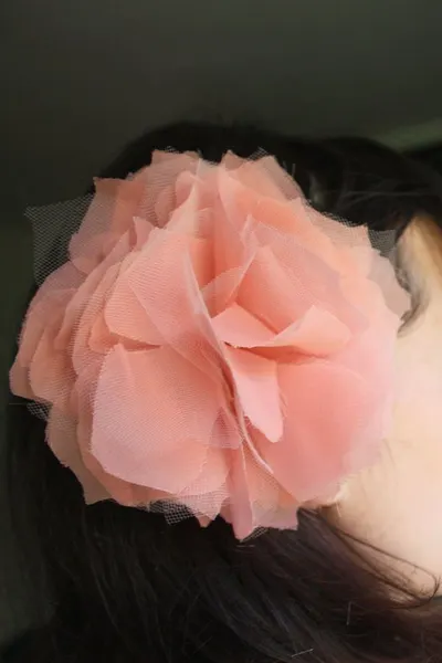 Chiffon 44 made in korea